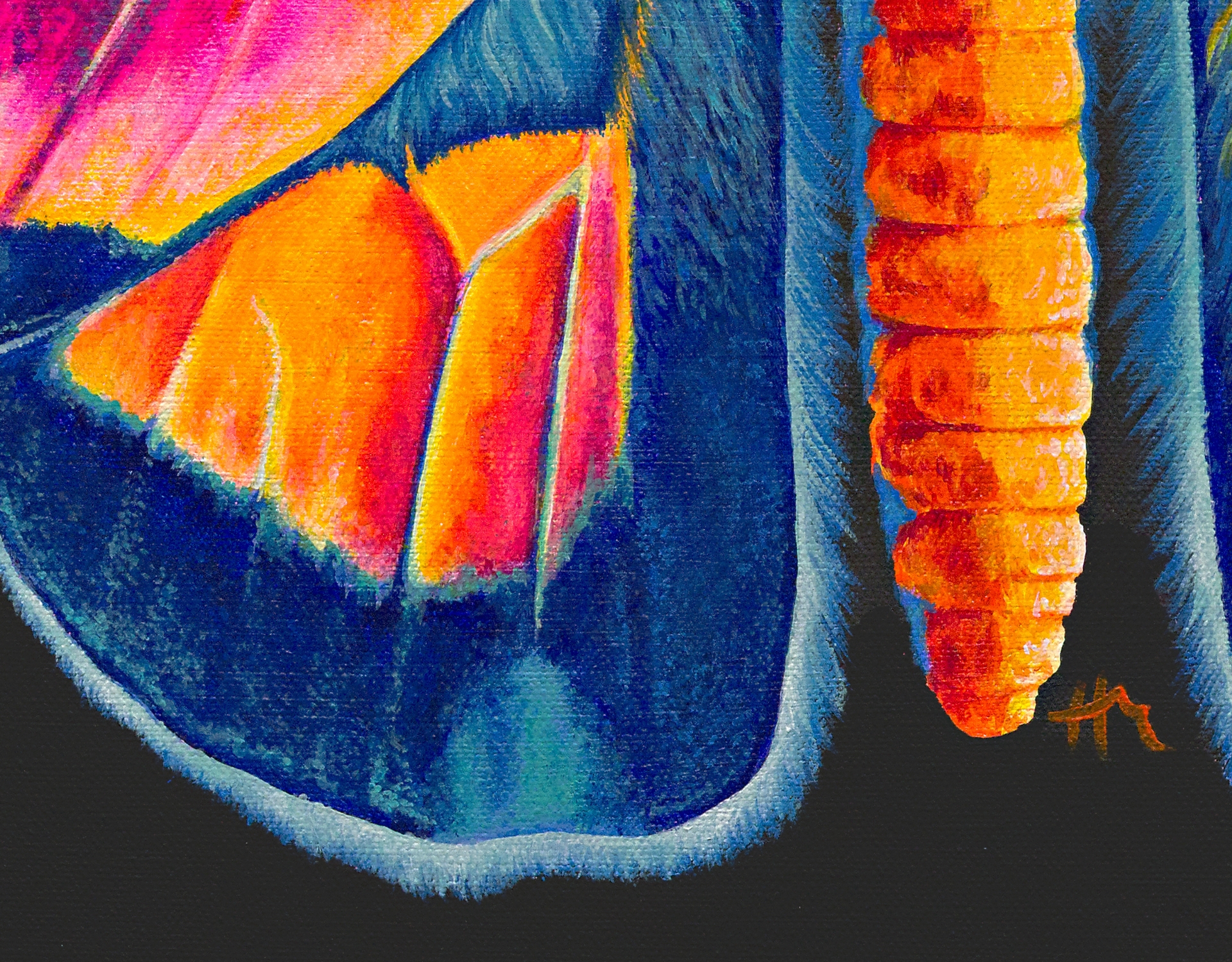 Spectrum of Becoming - Image 5