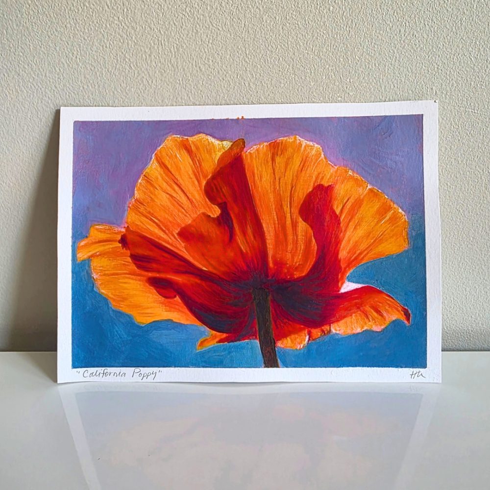 California Poppy