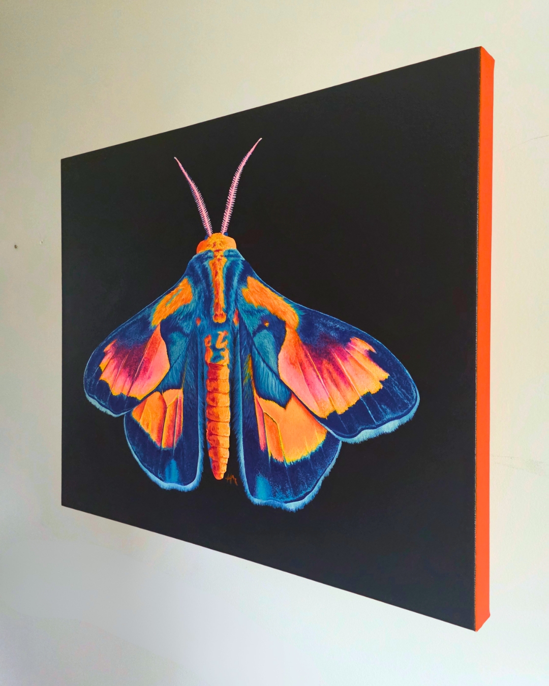 Spectrum of Becoming - Image 2